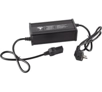 Зарядное устройство Rutrike для LiFePo4 аккумуляторов 60V52AH (10A) 025131