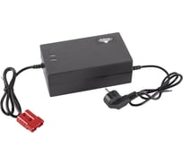 Зарядное устройство Rutrike для LiFePo4 аккумуляторов 48V32AH (4А) 025863