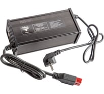 Зарядное устройство Rutrike для свинцовых тяговых аккумуляторов 24V100AН (20A) 024462