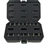 Набор экстракторов LIGE, 15 предметов, 1/2", 3/8", 1/4", 3/16", 1/8", 3, 4, 5, 5.5, 6, 8, 10, 11, 12, 14 мм, в кейсе LG-9492 256738