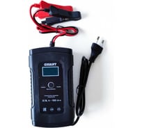 Импульсное зарядное устройство 12В Gigant GPCD-12