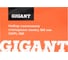 Набор съемников стопорных колец 160мм Gigant GKPL-160 2