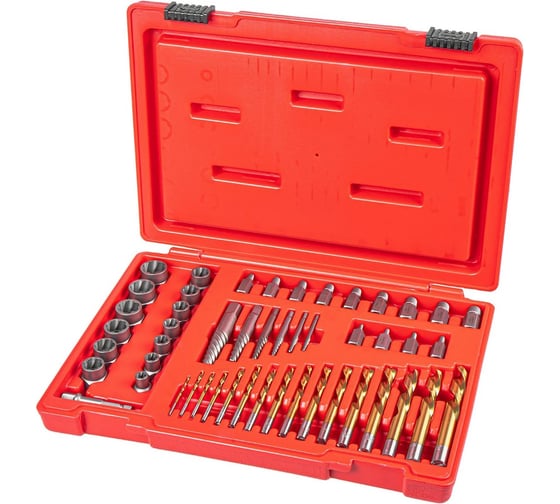 Набор экстракторов для поврежденных гаек и болтов ARNEZI, 49 предметов R5304028 1