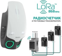 Зарядная станция Wall-E DUO LoRa, 22+22 кВт PANDORA 6022105