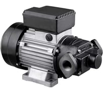 Электрический насос Petropump DTP-110 220В для ДТ, 110 л/мин PP220024