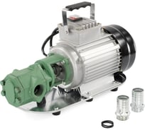 Электрический шестеренчатый масляный насос Petropump WCB-100 220В, 100 л/мин PP220606