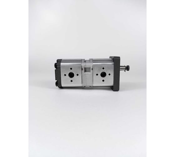 Насос шестеренный тандем АРКАИМ 2 гр. EG2-G 17-17 см3, вал 16.6 мм 1:8 EG2-G-17-17-STO-T80-ЕЕ5-EE5-D-0-0