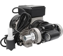 Электрический насос для ДТ Petropump ACTP 100 220 В PP220013