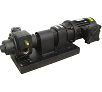 Высокопроизводительный роторный лопастной электронасос Gespasa для бензина, 500 л/мин BDP-500 230/400 VAC EExd F2 1/2" 10110