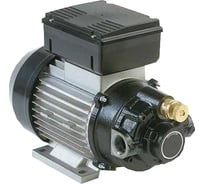 Насос PIUSI Viscomat 200/2 T F0030405D