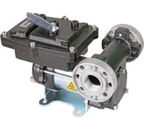 Насос PIUSI EX50 12V DC F00371000