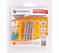 Неодимовый магнит-диск Forceberg 6x3 мм, 120 шт. 9-1212072-120