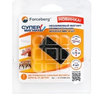 Неодимовый магнит-прямоугольник Forceberg 40x20x2 мм, 4 шт. 9-1272384-004 25785501