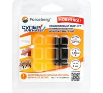 Неодимовый магнит-прямоугольник Forceberg 40x20x2 мм, 2 шт. 9-1272384-002