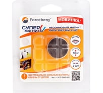 Неодимовый магнит-диск Forceberg 30x5 мм, 2 шт. 9-1212440-002 25785387