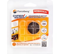 Неодимовый магнит-диск Forceberg 30x3 мм, 2 шт. 9-1212432-002 25785213