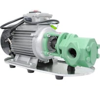 Электрический шестеренный насос Petropump WCB-75 220 В, для масла PP220601