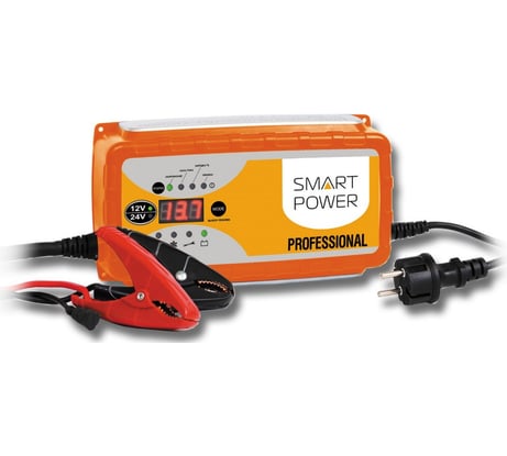 Зарядное устройство для автомобилей BERKUT SP-25N