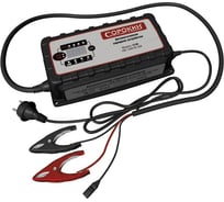 Универсальное зарядное устройство 25A, 12/24В, 220В Сорокин 12.99