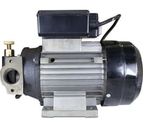 Насос Петролл для перекачки топлива и масел petroll galaxy by-75 220v 8003