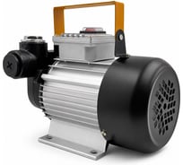 Насос для перекачки дизельного топлива Helios-60 Petroll 3003