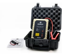 Пусковое устройство для автомобилей BERKUT JSC450