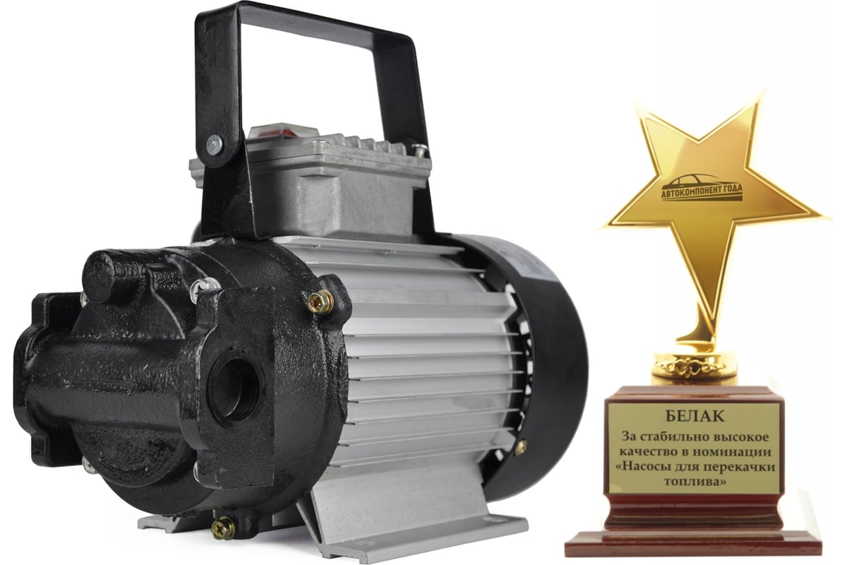 Насос для перекачки топлива и масел 220V 40 л/мин БелАК "Гермес" БАК ...