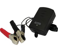 Зарядное устройство Восток Pro 220-12-0.3 ЗУ Восток 220-12-1