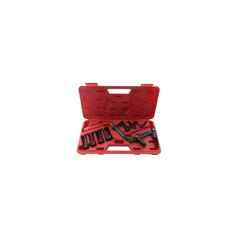 Рассухариватель универсальный со сменными насадками в кейсе Forsage F ...