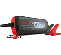 Зарядное устройство TELWIN T-CHARGE 12 EVO 6V/12V 807578
