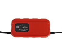 Зарядное устройство для аккумуляторных батарей LEMANIA ENERGY 25А 12/24В LEM1224250 В0000000184819