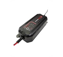 Зарядное устройство для аккумуляторных батарей LEMANIA ENERGY 12/24В 7А LEM 122470(black) В0000000193243