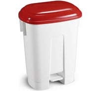 Мусорное ведро TTS Derby 60 л 00005691