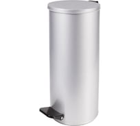 Урна с педалью Титан Мета 30л белый 4607078088372