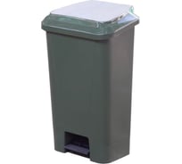 Мусорный контейнер Дигрус 60л с педалью и пакетодержателем, зеленый К-60ПП-З/Д