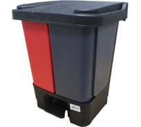Контейнер для раздельного сбора мусора ACG серо-красный, с педалью, 2х10л 1017913