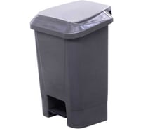 Мусорный контейнер Дигрус 30л, с педалью и пакетодержателем, серый К-30ПП-Сер/Д