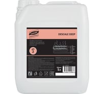 Профхим от накипи в посудомоечных и стиральных машинах Luscan Professional cip descale deep кислотный, 5л 1850874