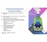 Универсальный удалитель плесени Mould and mildew stain blaster Astonish 9955 2