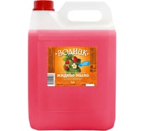 Жидкое мыло Золушка прозрачное 5л, земляника, зодиак К-10-4