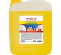 Средство моющее LAIMA универсальное 5 кг лайма professional (аналог прогресс) 880286