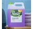 Гель для стирки LAVR универсальный, цветущий сад for home, 5 л 3302 10