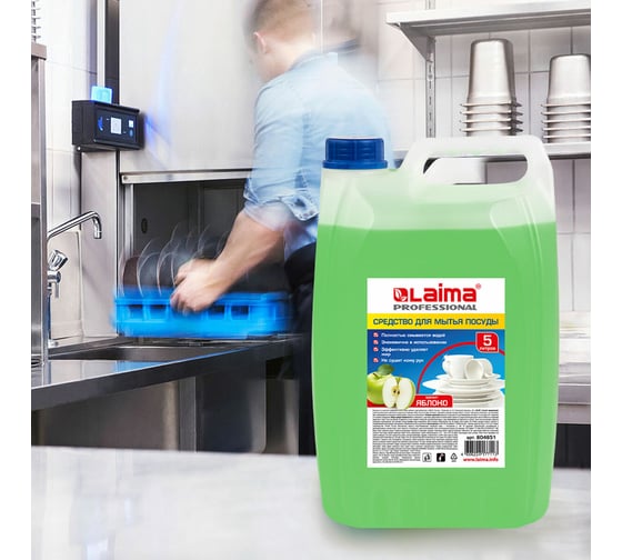 Средство для мытья посуды LAIMA 5 л, PROFESSIONAL, концентрат, Яблоко, 604651