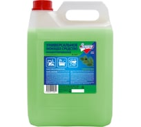 Универсальное моющее средство Золушка 5л хвоя М-05-1