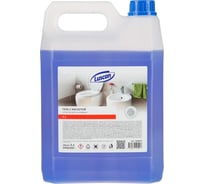 Средство для сантехники Luscan гель, с кислотой, 5 л 1869879