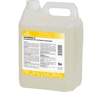 Универсальное моющее средство PROSEPT Universal E 5 л 181-5
