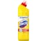 Чистящее средство DOMESTOS Свежесть цитруса 4601726004769 4