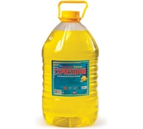 Универсальное чистящее средство Прогресс ЭКСПРЕСС-ДОН 5л 600641 16092403