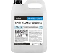 Универсальное щелочное моющее средство PRO-BRITE SPRAY CLEANER 5 л, низкопенное, концентрат 004-5 605293