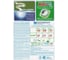 Стиральный порошок автомат Колор 450 г ARIEL МДК-AS-81349603 0001220257 9